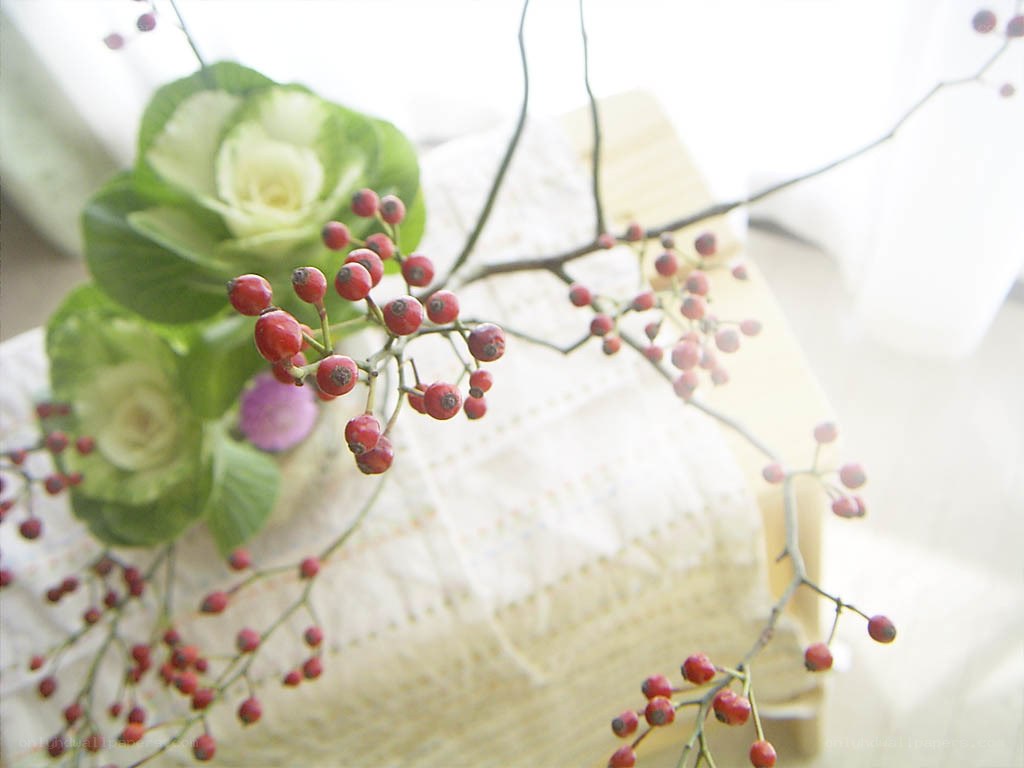 Red berries and green leaves