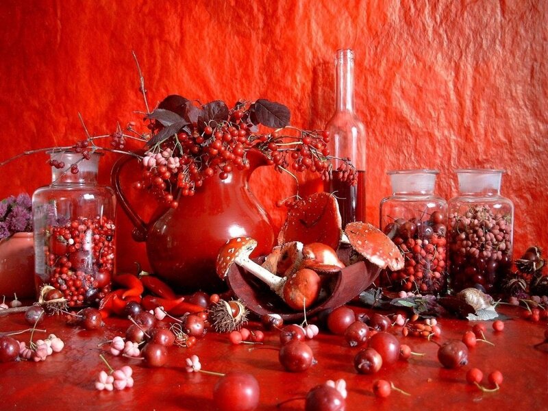 Red Berries and Mushrooms — Dramatic