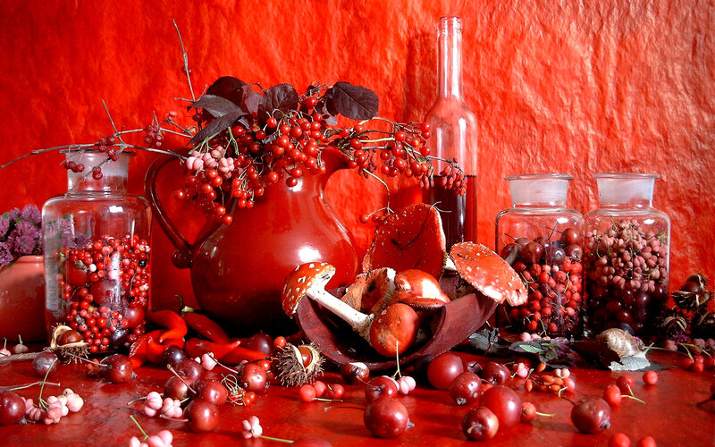 Red Berries and Mushrooms