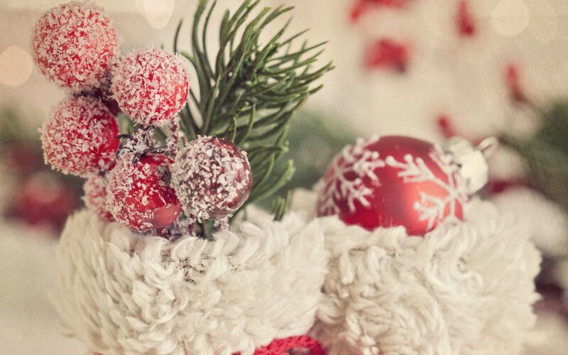 Red Berries and Ornament
