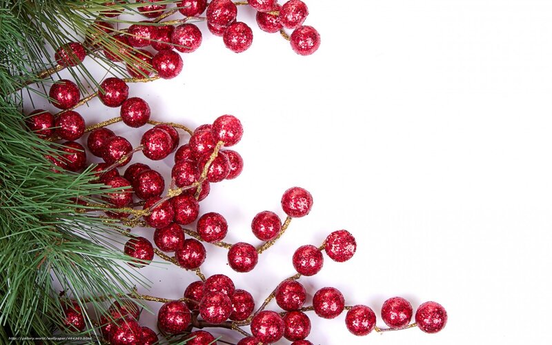 Red Berries and Pine Branches — Festive, Winter, Photograph