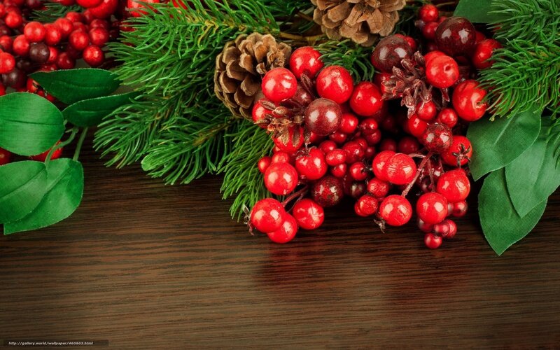 Red Berries and Pine Branches — Festive, Winter