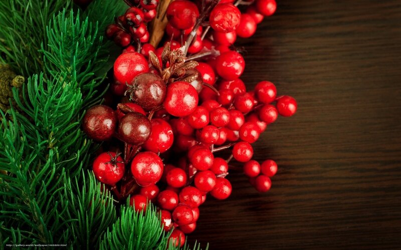 Red berries and pine branches