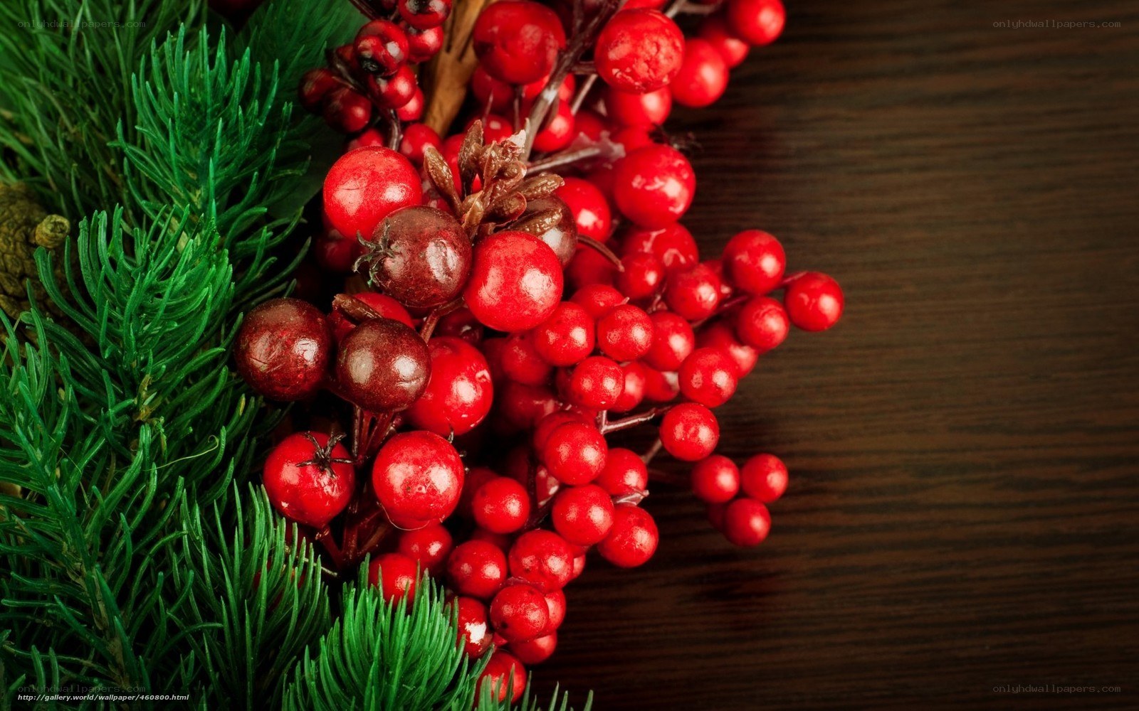 Red berries and pine branches