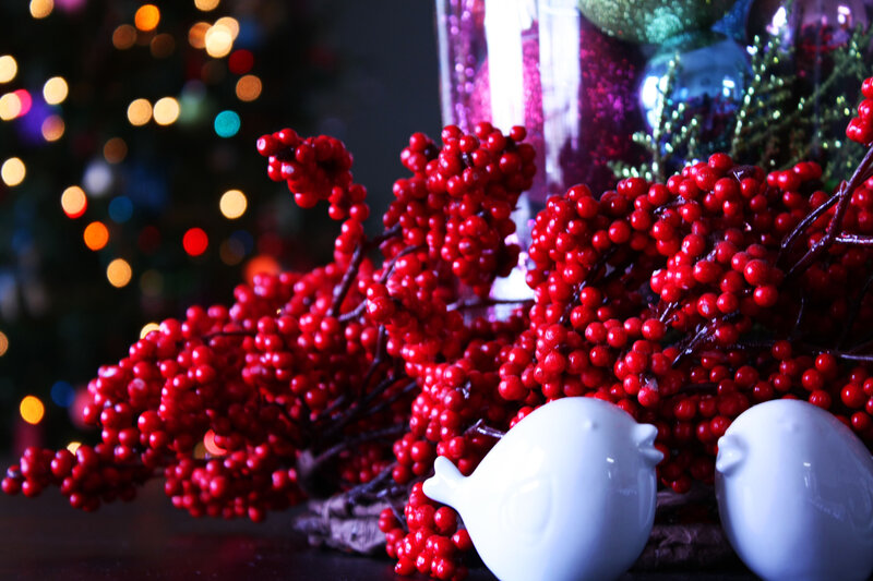 Red Berries and White Birds