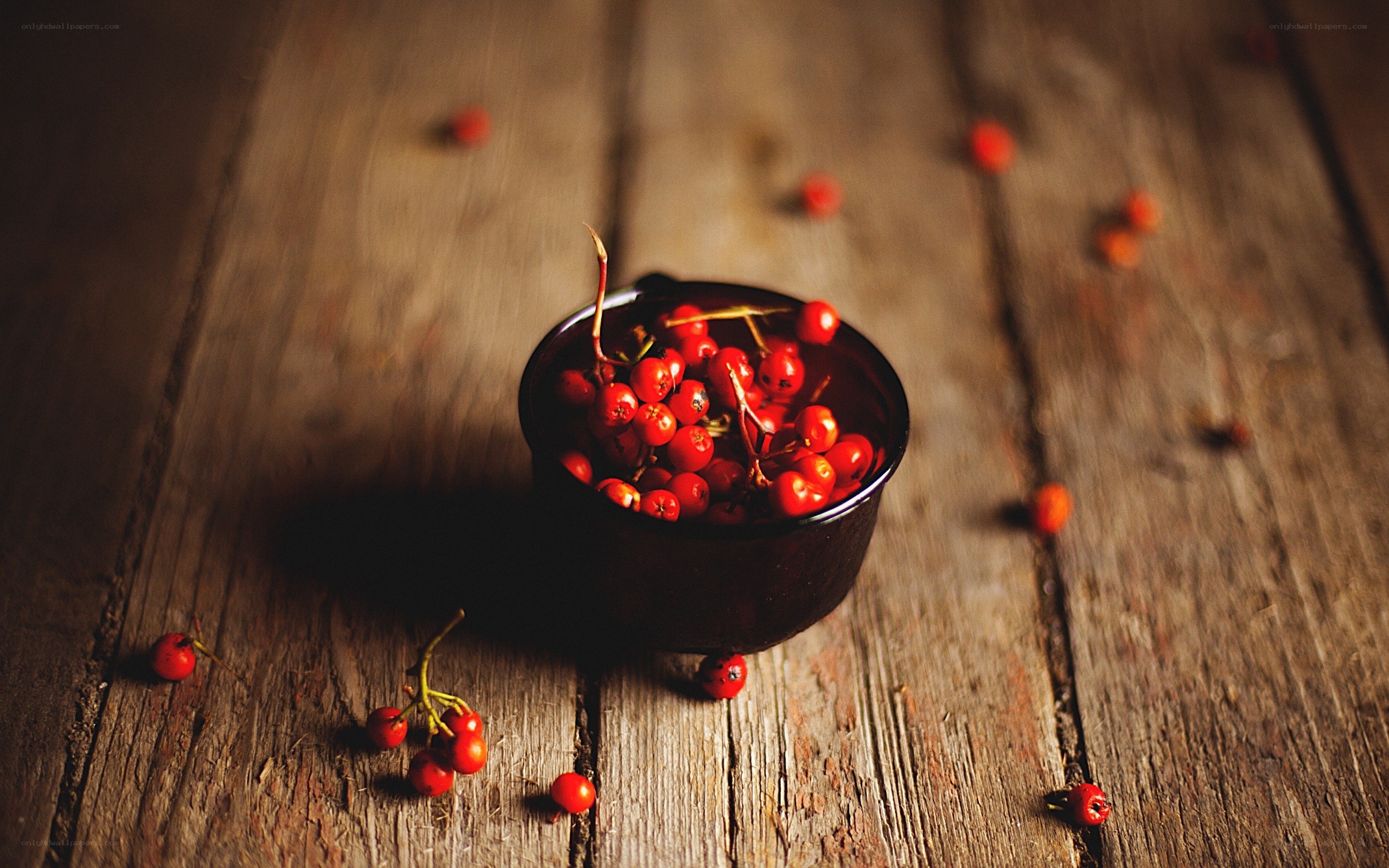 Red berries in a bowl