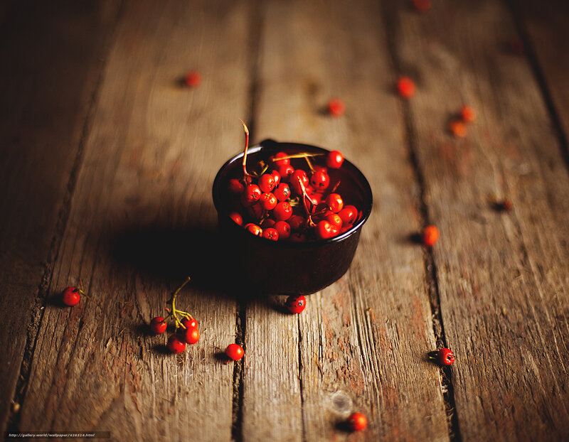 Red Berries in a Bowl — Dramatic, Photograph, Wooden Table