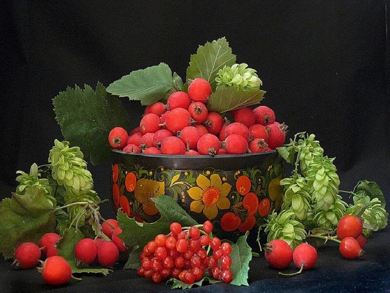 Red Berries in a Bowl — Dramatic