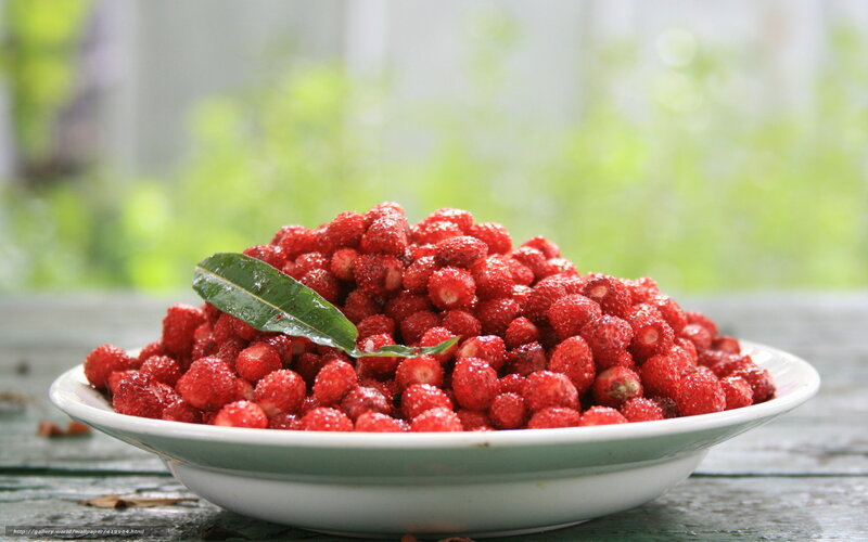 Red Berries in a Bowl — Natural