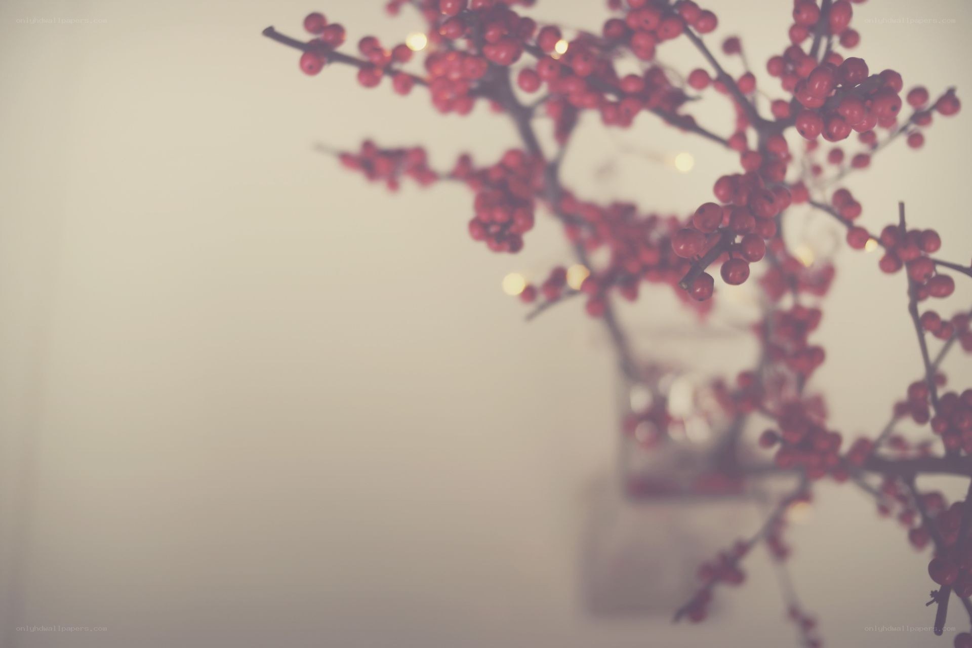 red berries in a vase