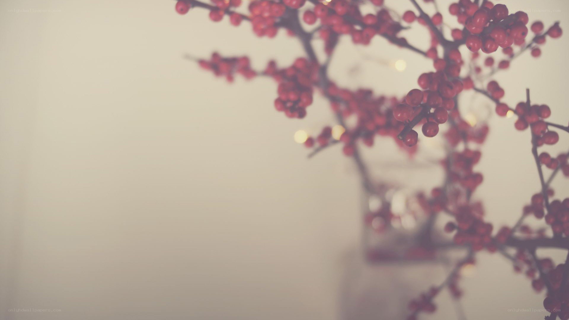 Red berries in a vase