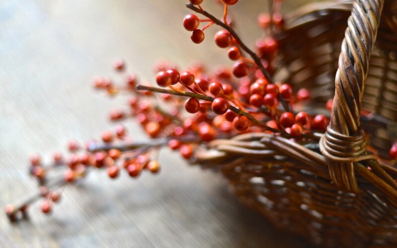 Red Berries in Basket — Brown