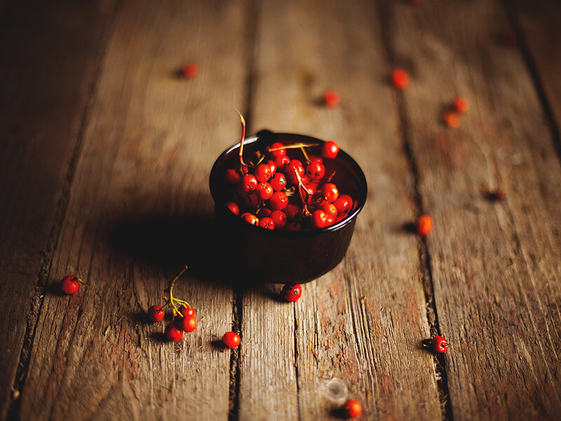Red Berries in Bowl — Dramatic