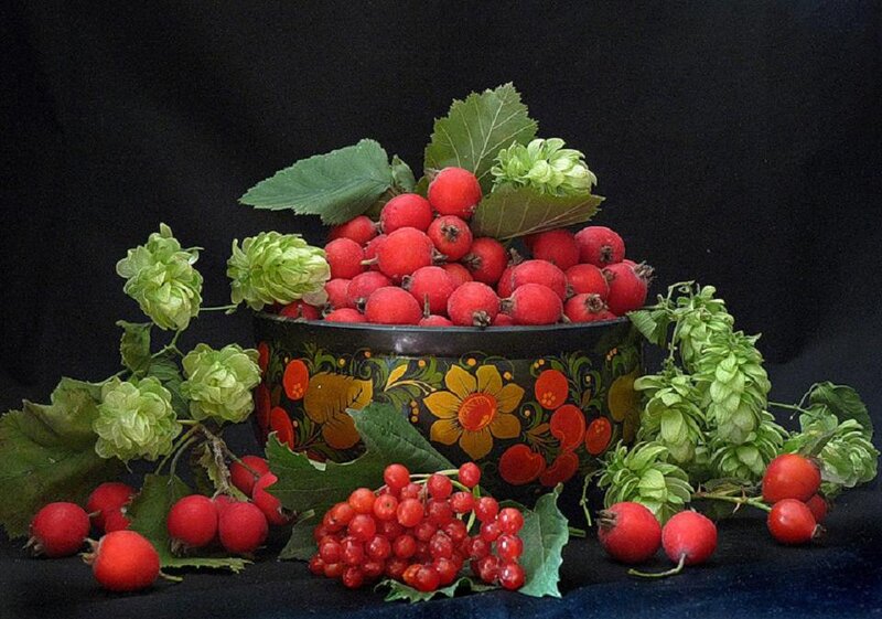 Red Berries in Bowl