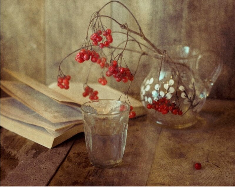 Red Berries in Glass — Brown