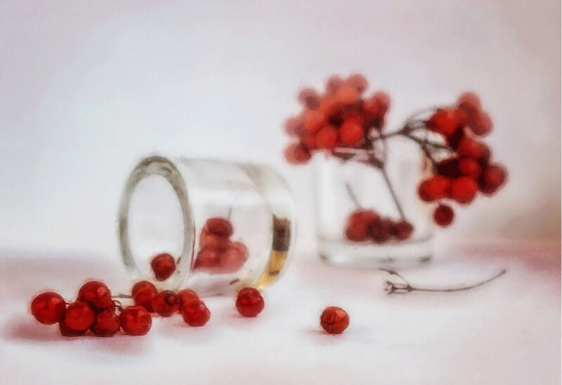 Red Berries in Glass Jars