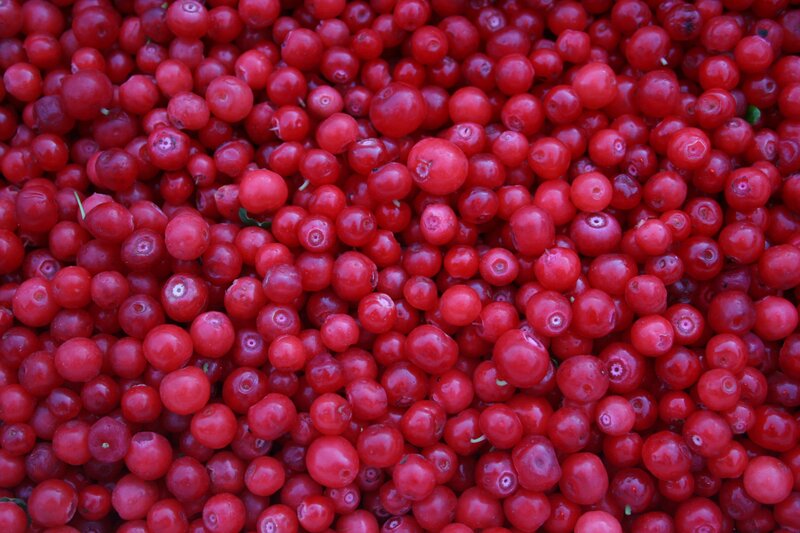 Red Berries in Pile — Natural