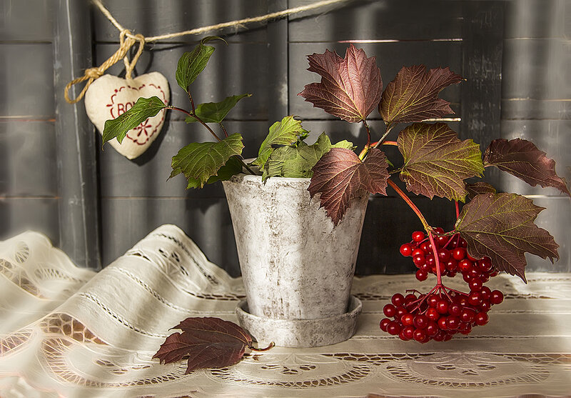 Red Berries in Pot — White