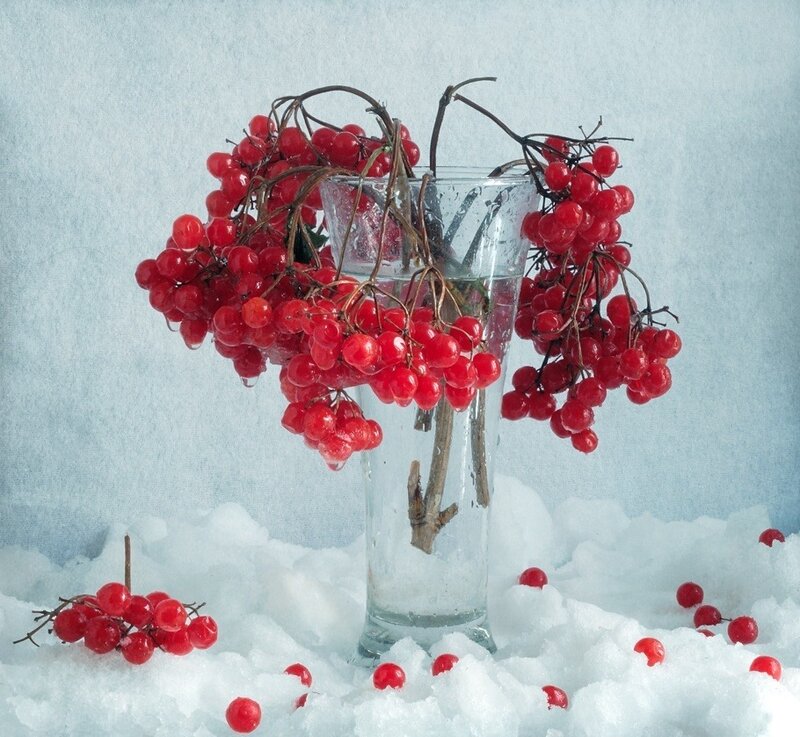 Red berries in snow