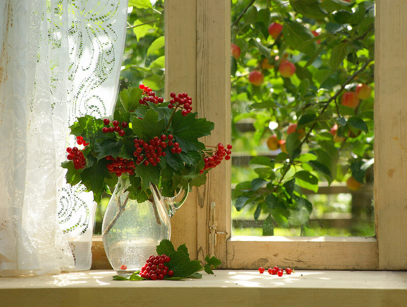 Red Berries in Vase — Green