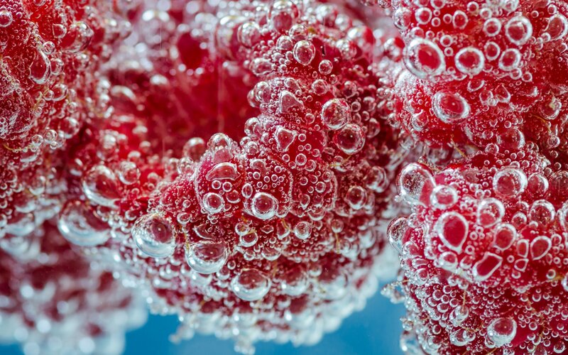 Red Berries in Water