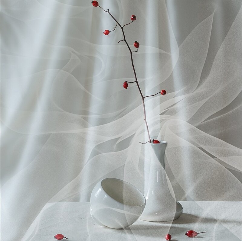 Red Berries in White Vase