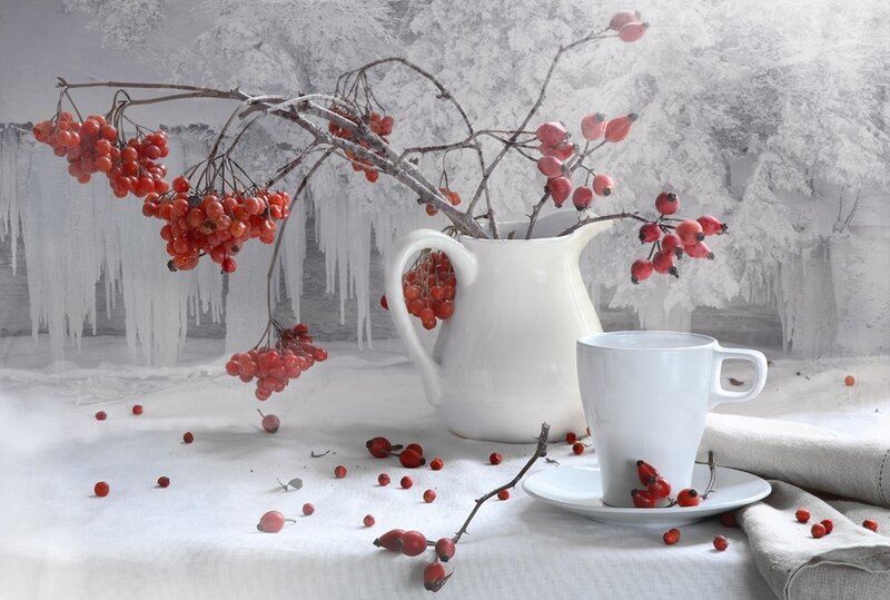 Red Berries in Winter