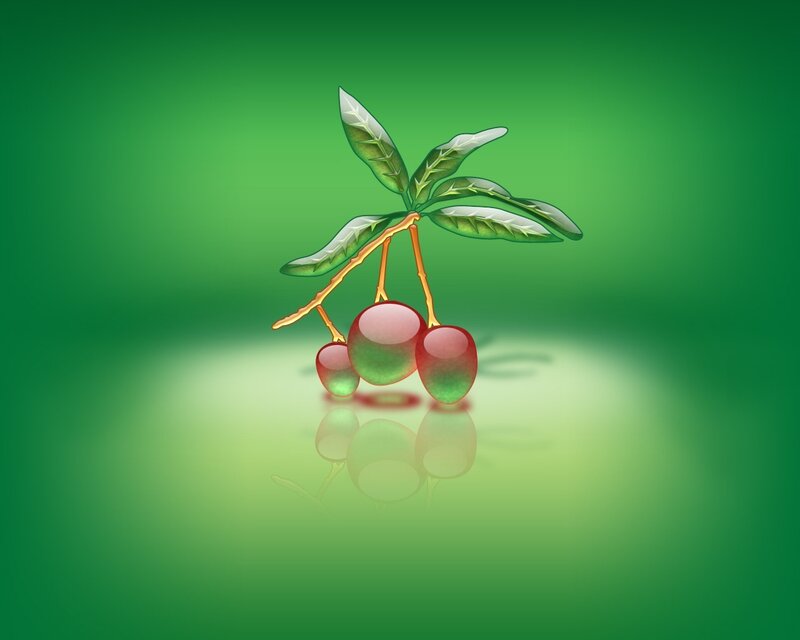red berries on a branch