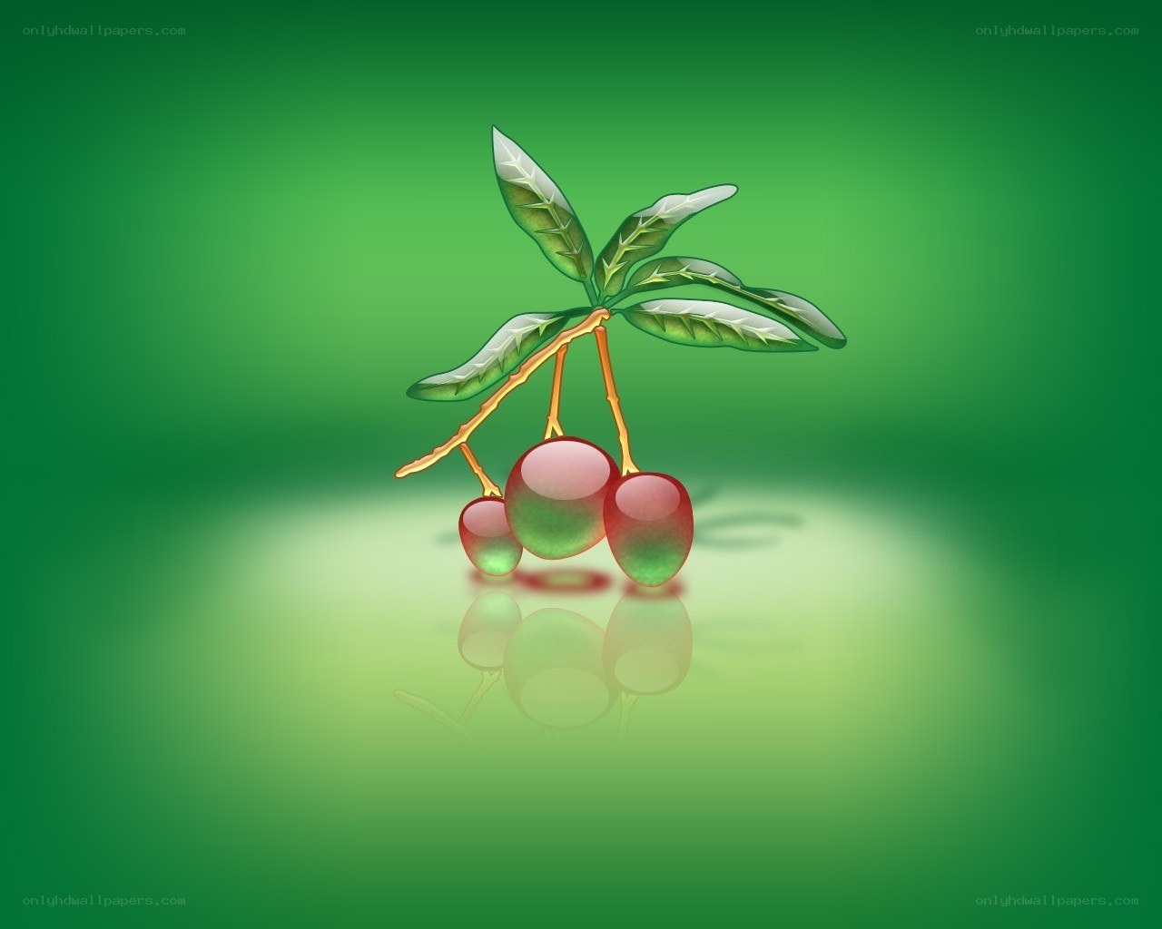 red berries on a branch