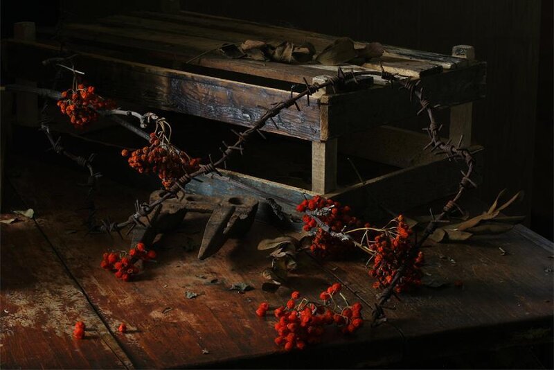 Red Berries on Barbed Wire