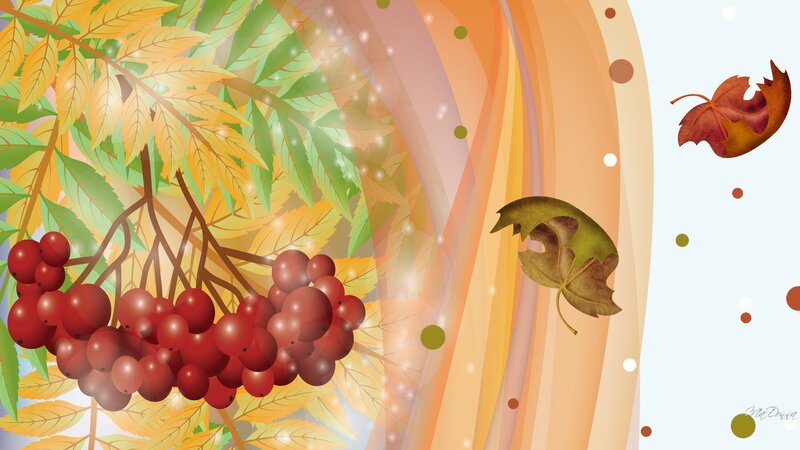 Red Berries on Branch — Orange