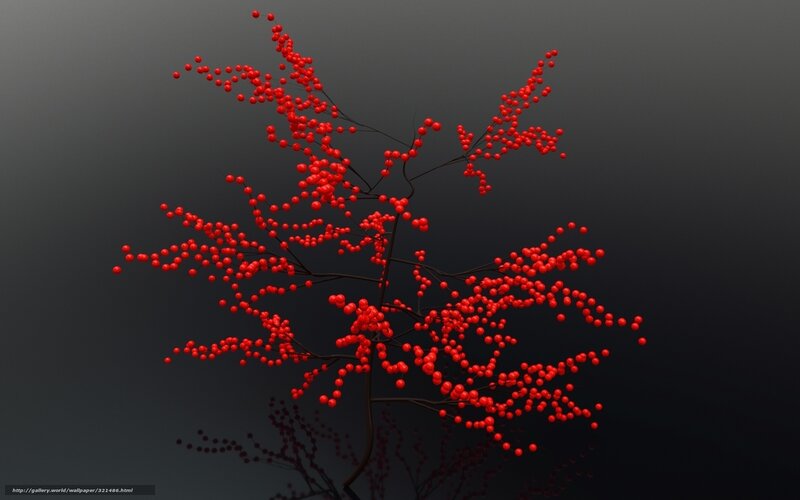 Red berries on dark branches
