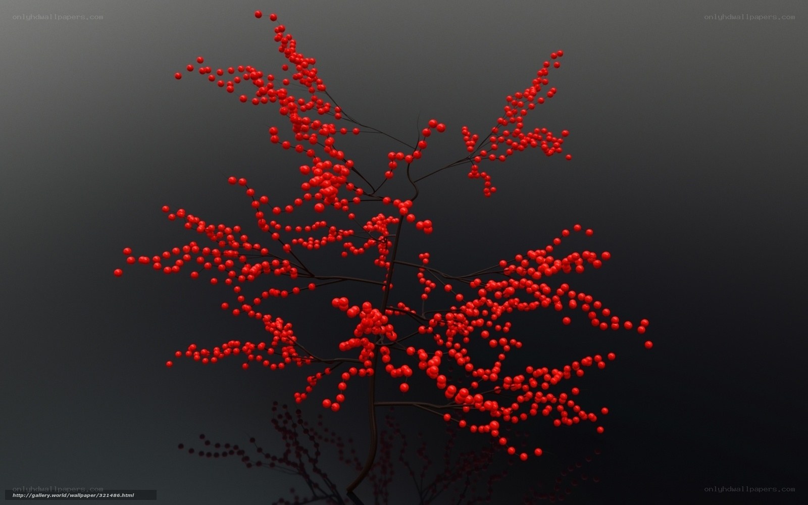 Red berries on dark branches