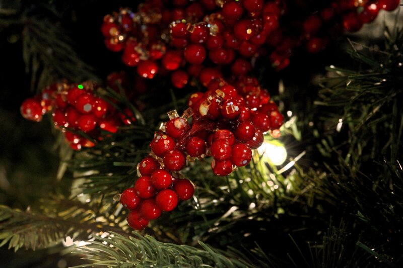 Red Berries on Pine Branch — Festive