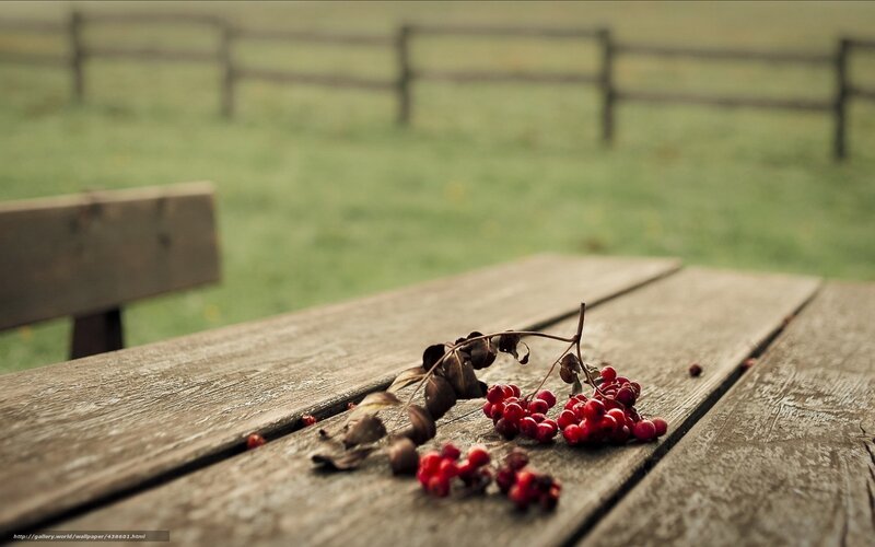 Red Berries on Table — Brown