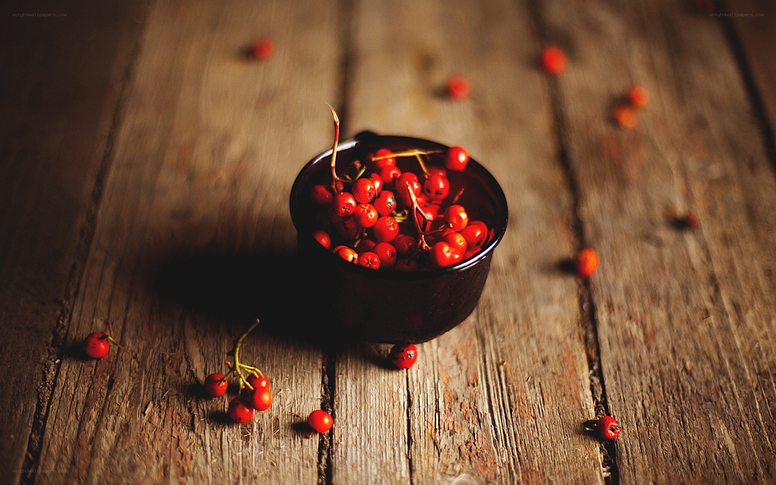 Red berries on wooden table