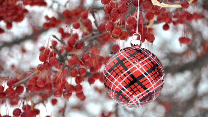 Red Berry Ornament