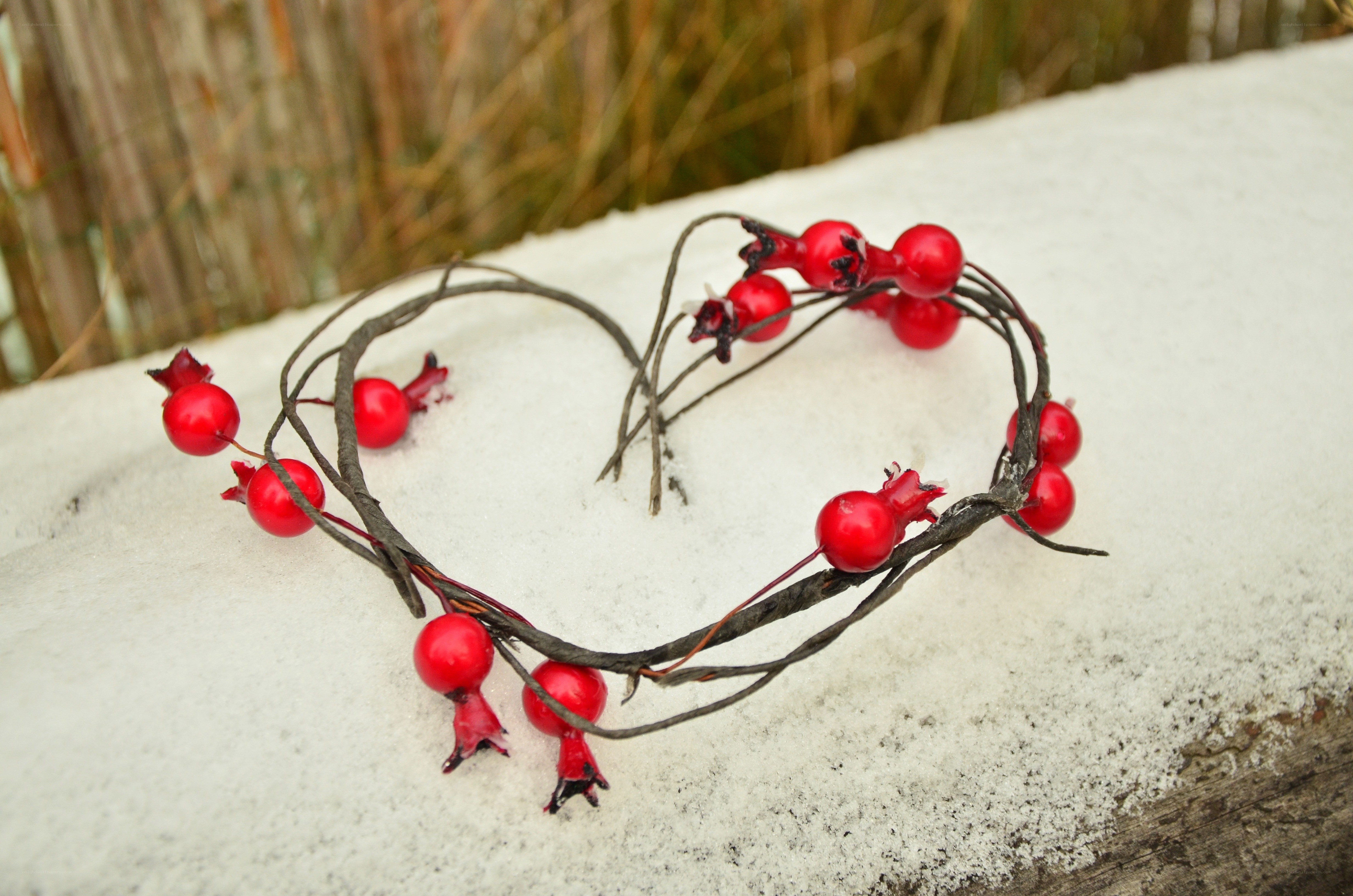 Red berry wreath on snow