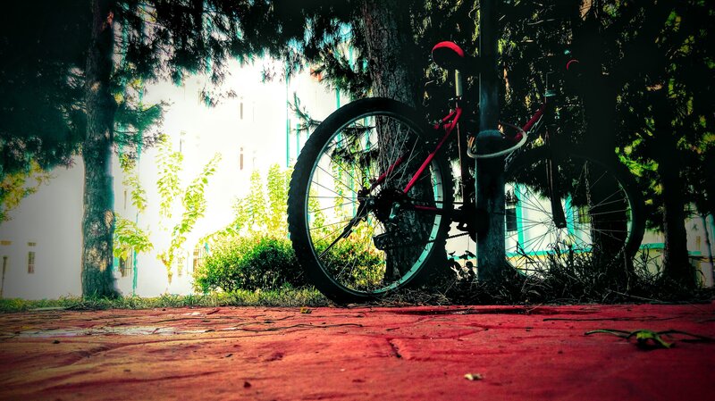 Red Bicycle Against Tree