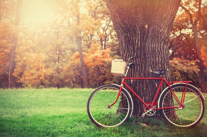 Red Bicycle by Tree