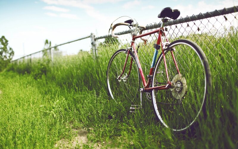 Red Bicycle in Grass — Green, Serene, Afternoon