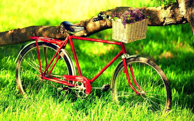 Red Bicycle in Grass — Green, Serene