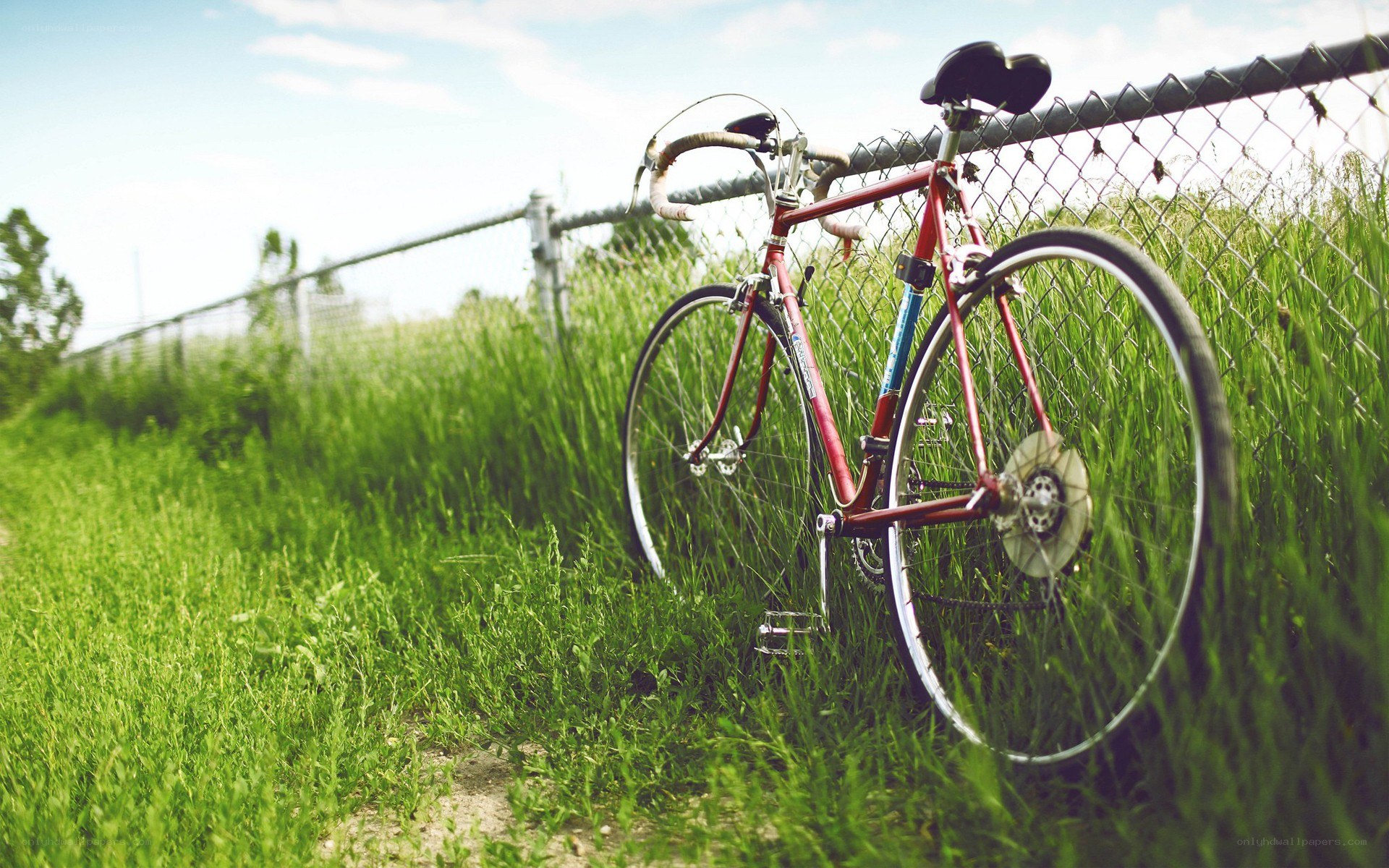 Red bicycle in grassy field