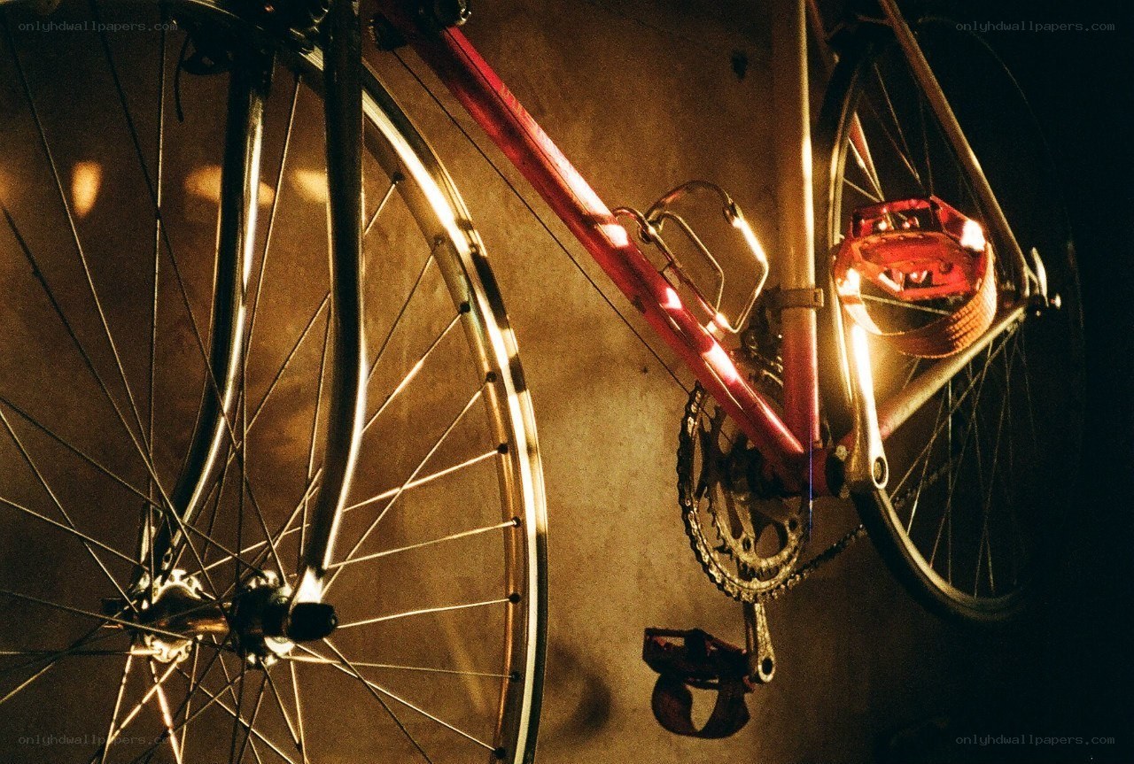 Red bicycle in warm light