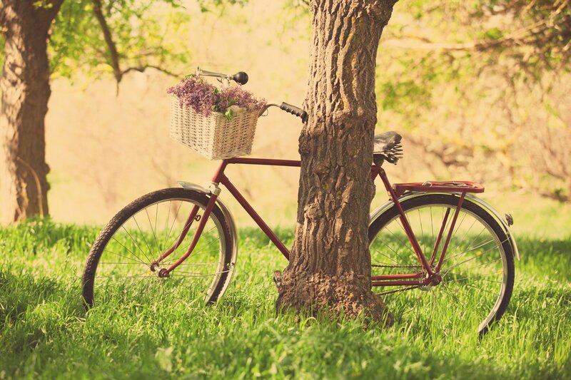 Red Bicycle with Basket — Green