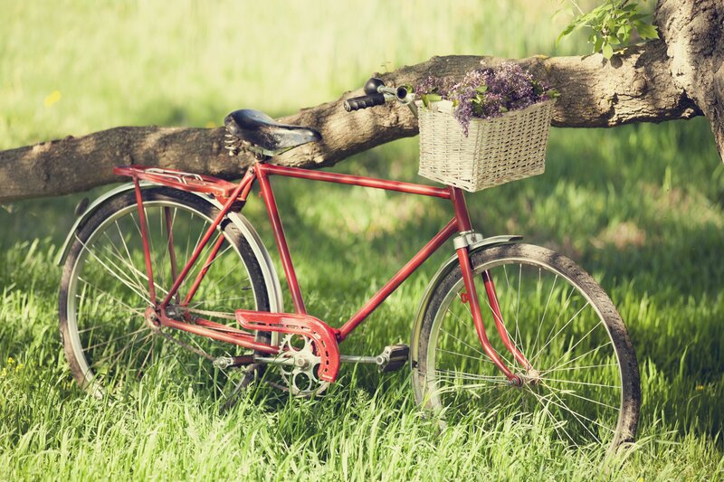 Red Bicycle with Basket — Serene