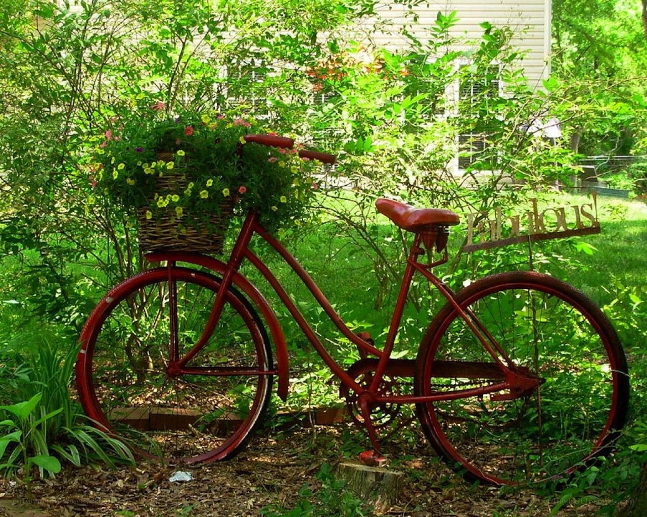 Red bicycle with flower basket
