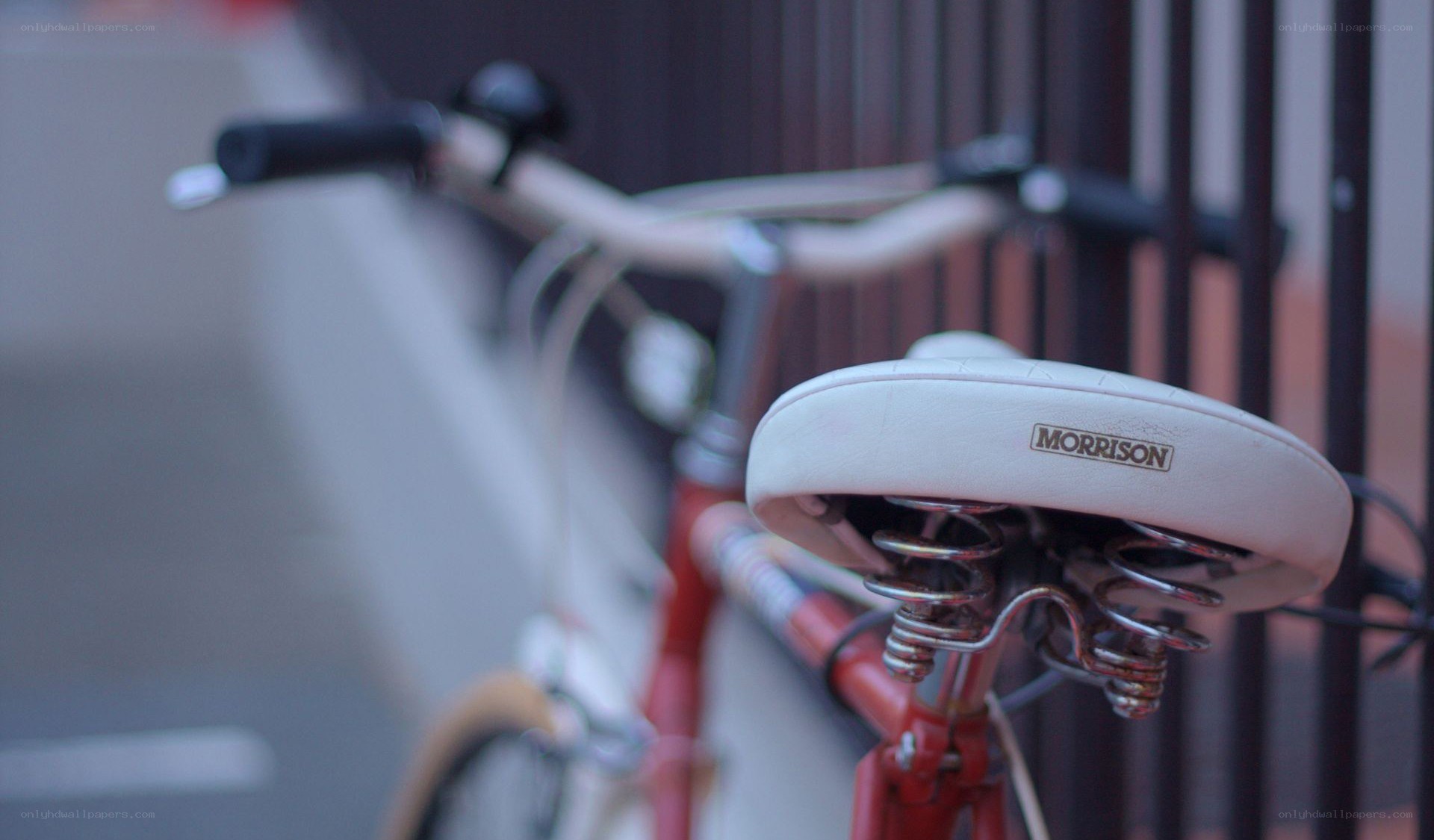 red bicycle with white seat