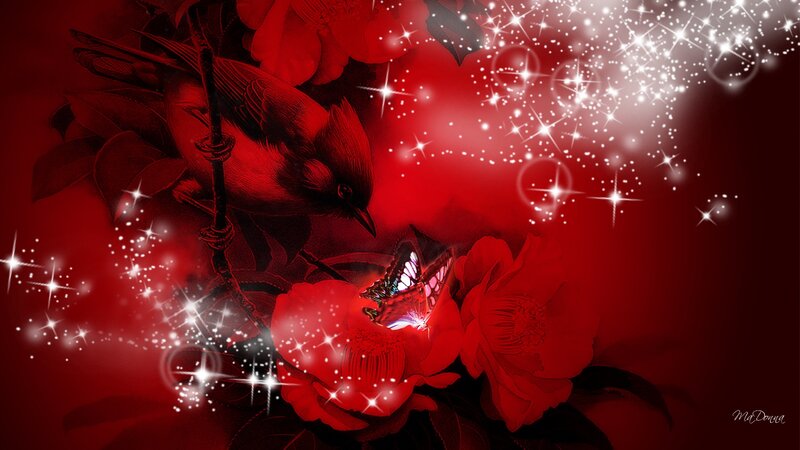 Red Bird and Butterfly