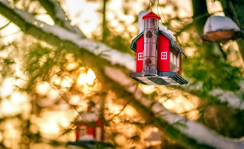 Red Bird Feeder